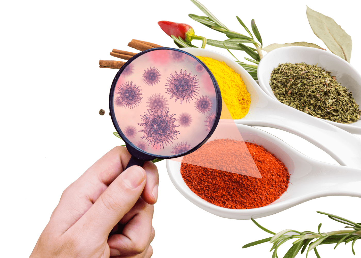 Sanitización de Alimentos
